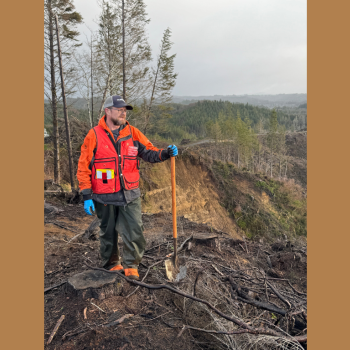Field Work