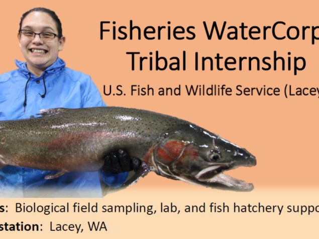 Tribal Internship
