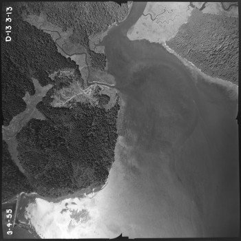 Aerial photo from August 4, 1955 Photo Credit: WA DNR