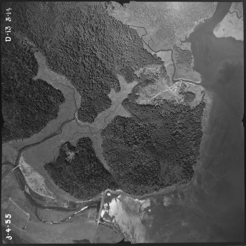 Aerial photo from August 4, 1955 Photo Credit: WA DNR