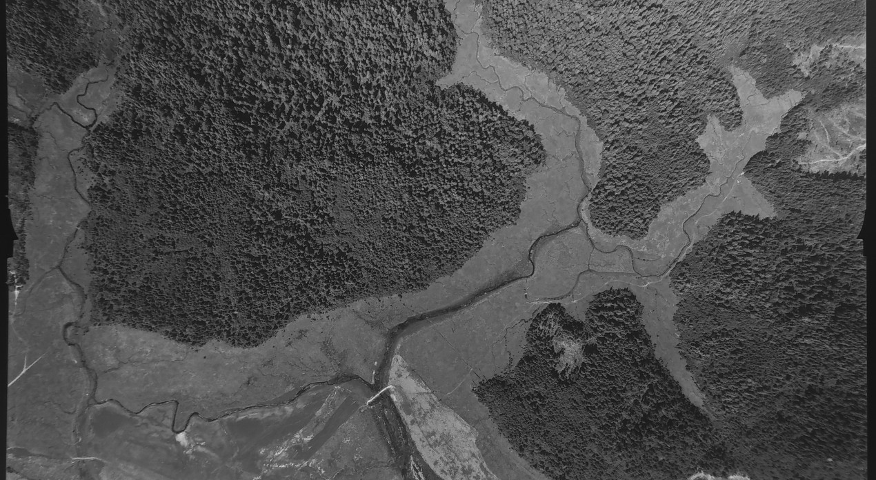 Aerial photo from August 4, 1955 Photo Credit: WA DNR