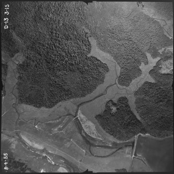Aerial photo from August 4, 1955 Photo Credit: WA DNR