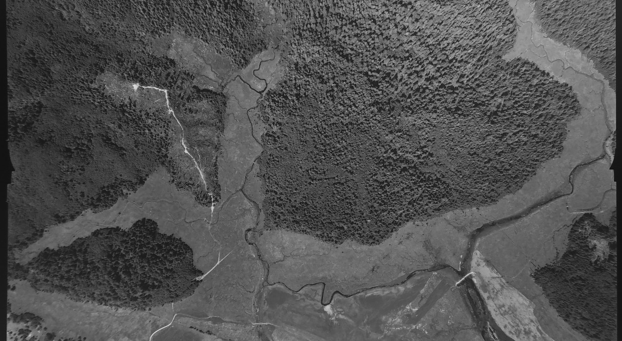 Aerial photo from August 4, 1955 Photo Credit: WA DNR