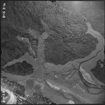 Aerial photo from August 4, 1955 Photo Credit: WA DNR