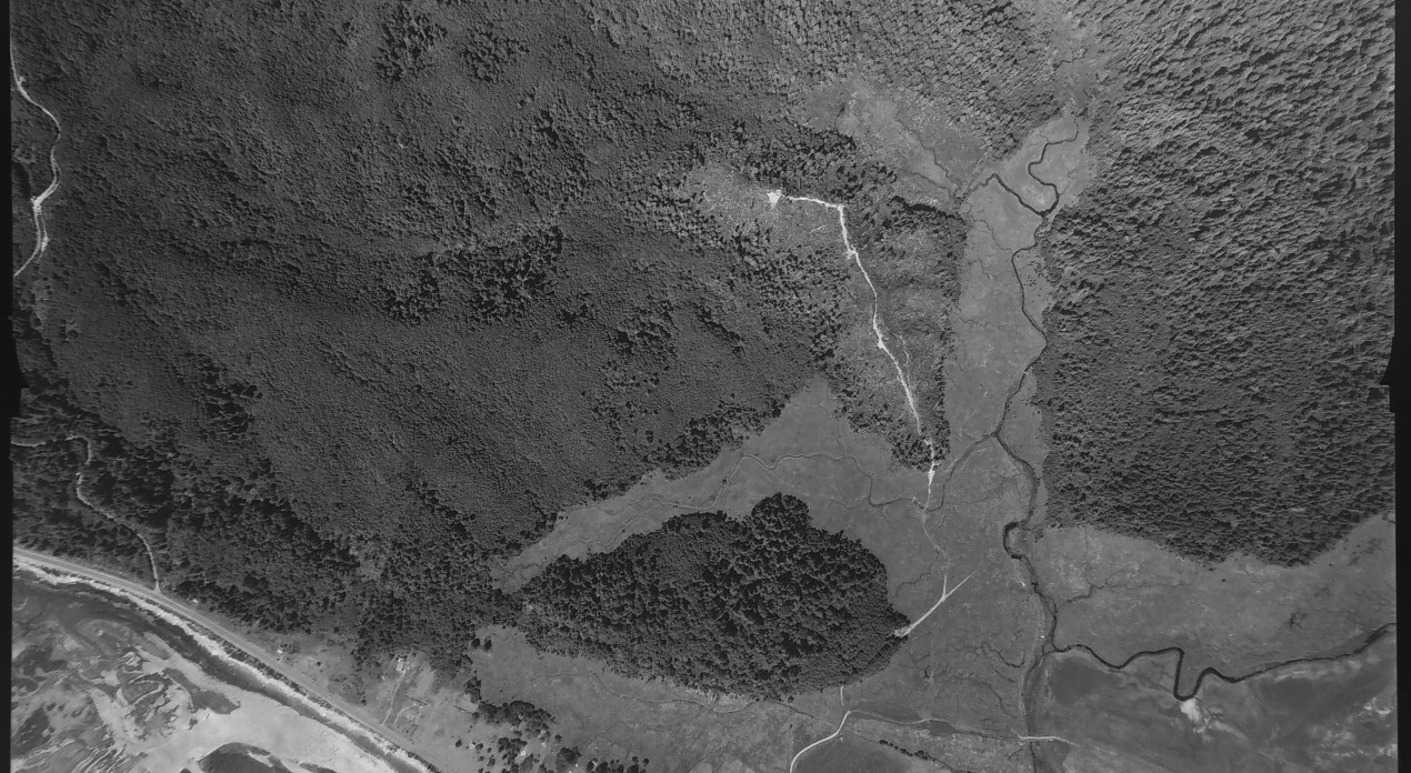 Aerial photo from August 4, 1955 Photo Credit: WA DNR