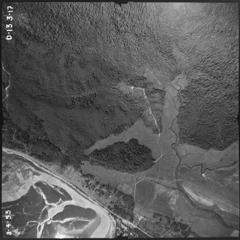 Aerial photo from August 4, 1955 Photo Credit: WA DNR