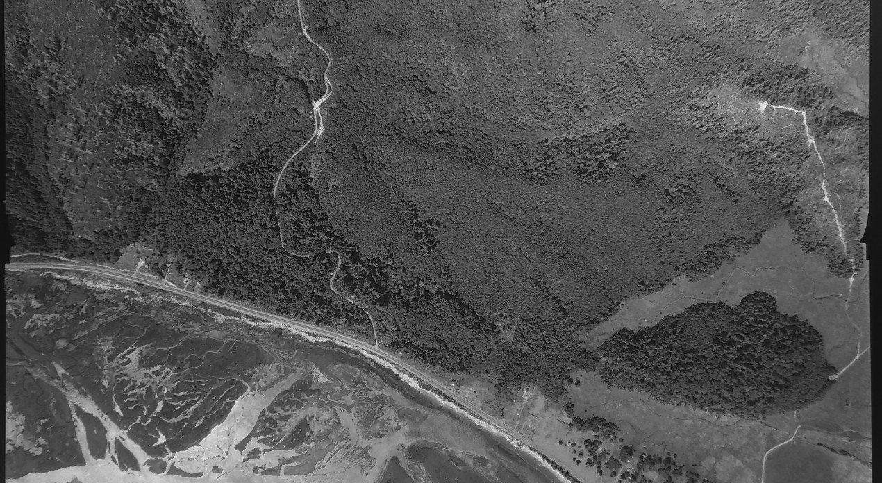 Aerial photo from August 4, 1955 Photo Credit: WA DNR