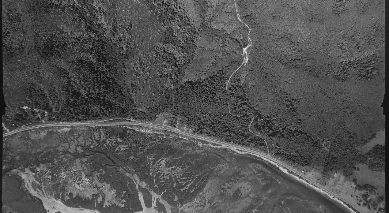 Aerial photo from August 4, 1955 Photo Credit: WA DNR