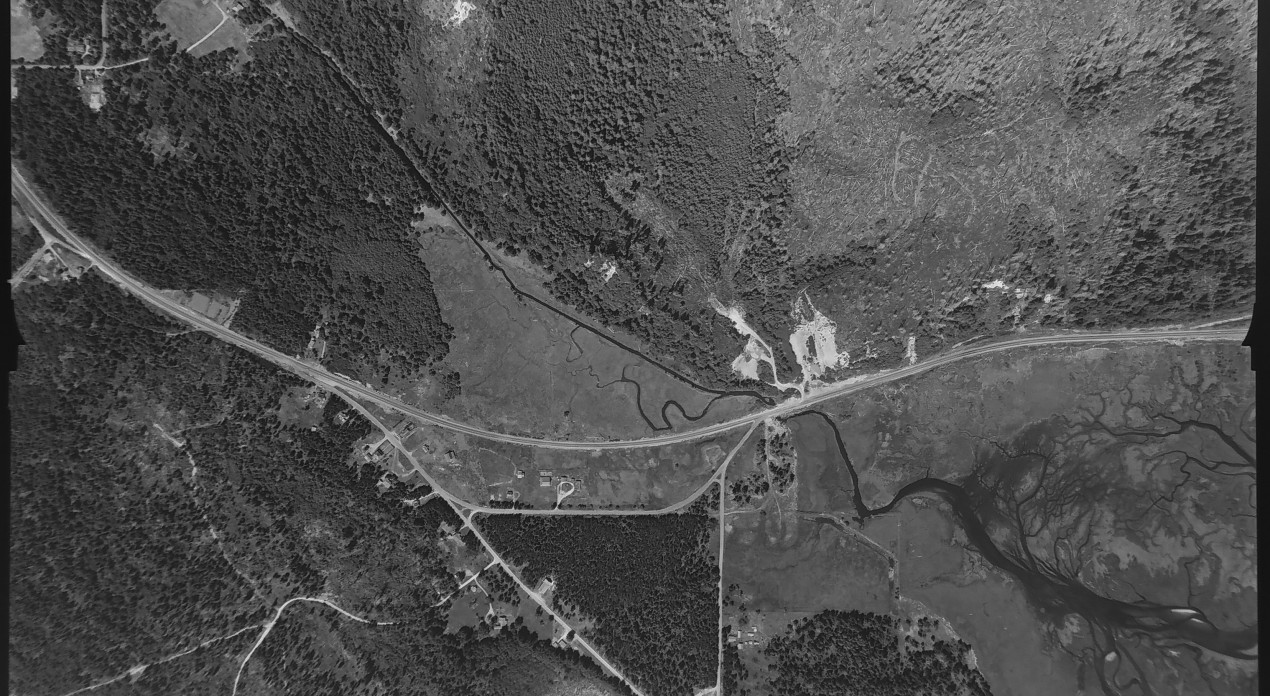 Aerial photo from August 4, 1955 Photo Credit: WA DNR