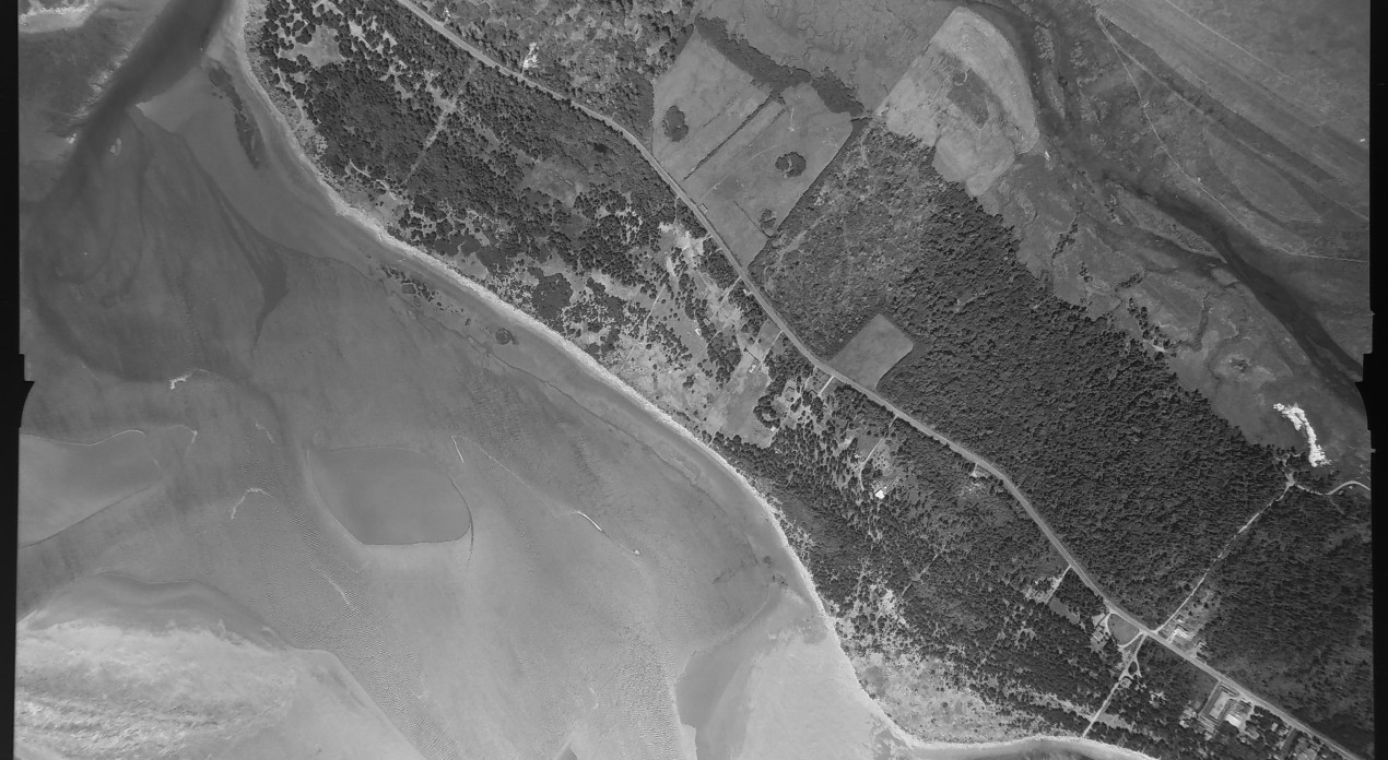 Aerial photo from August 4, 1955 Photo Credit: WA DNR