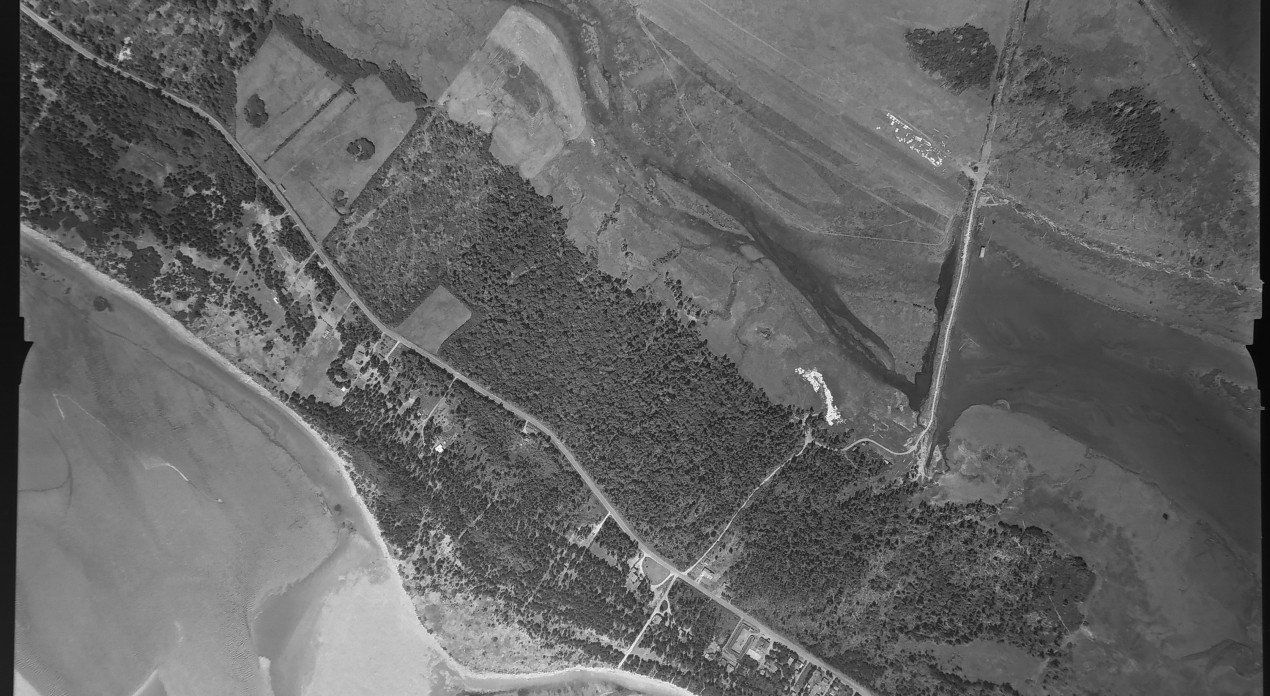 Aerial photo from August 4, 1955 Photo Credit: WA DNR