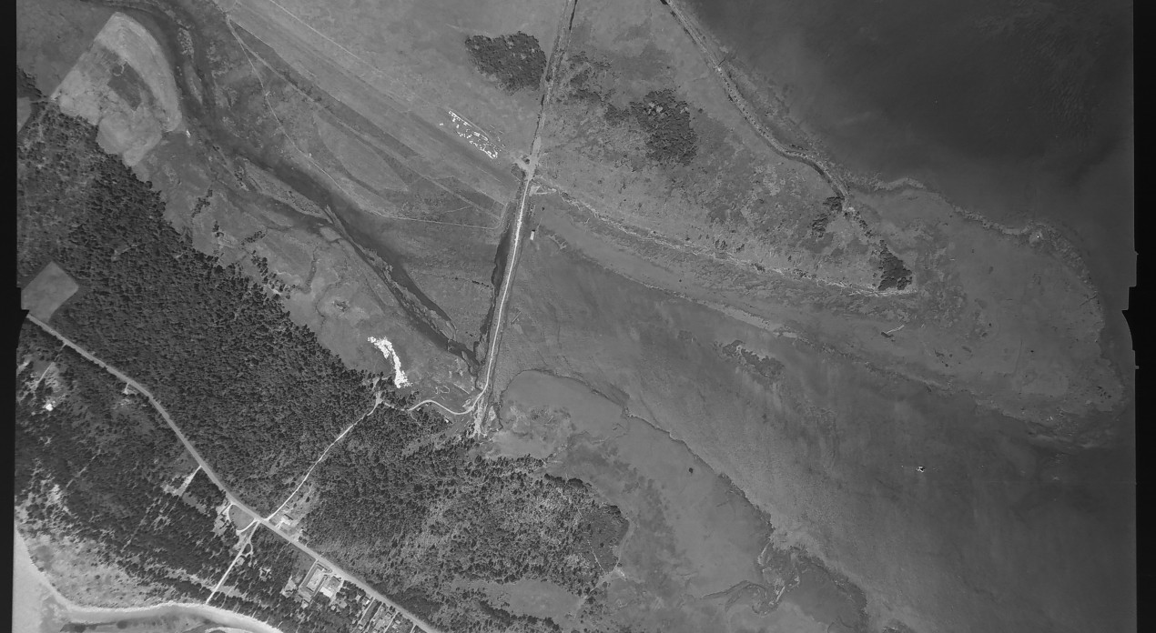 Aerial photo from August 4, 1955 Photo Credit: WA DNR