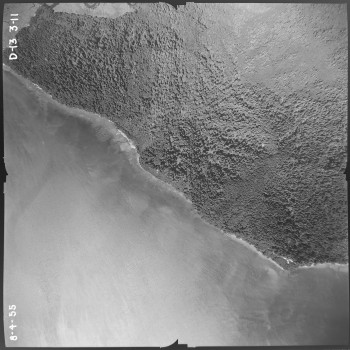 Aerial photo from August 4, 1955 Photo Credit: WA DNR