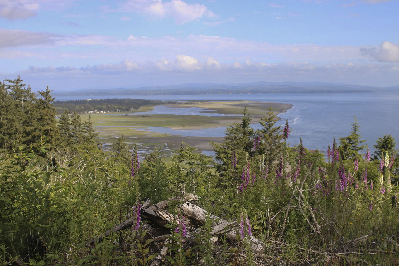 Scenery from Eagle Hill Road